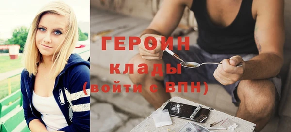 гидра Няндома