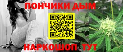 крисы Ирбит